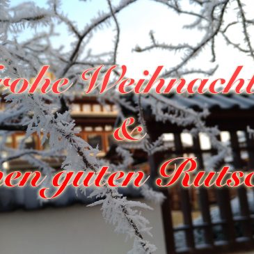 Frohe Weihnachten 2019 und einen guten Rutsch ins neue Jahr 2020 wünscht BLU!