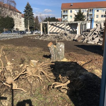 Stadtratsanfrage der BLU zum „alten Rundbau“ im Wohngebiet Nord